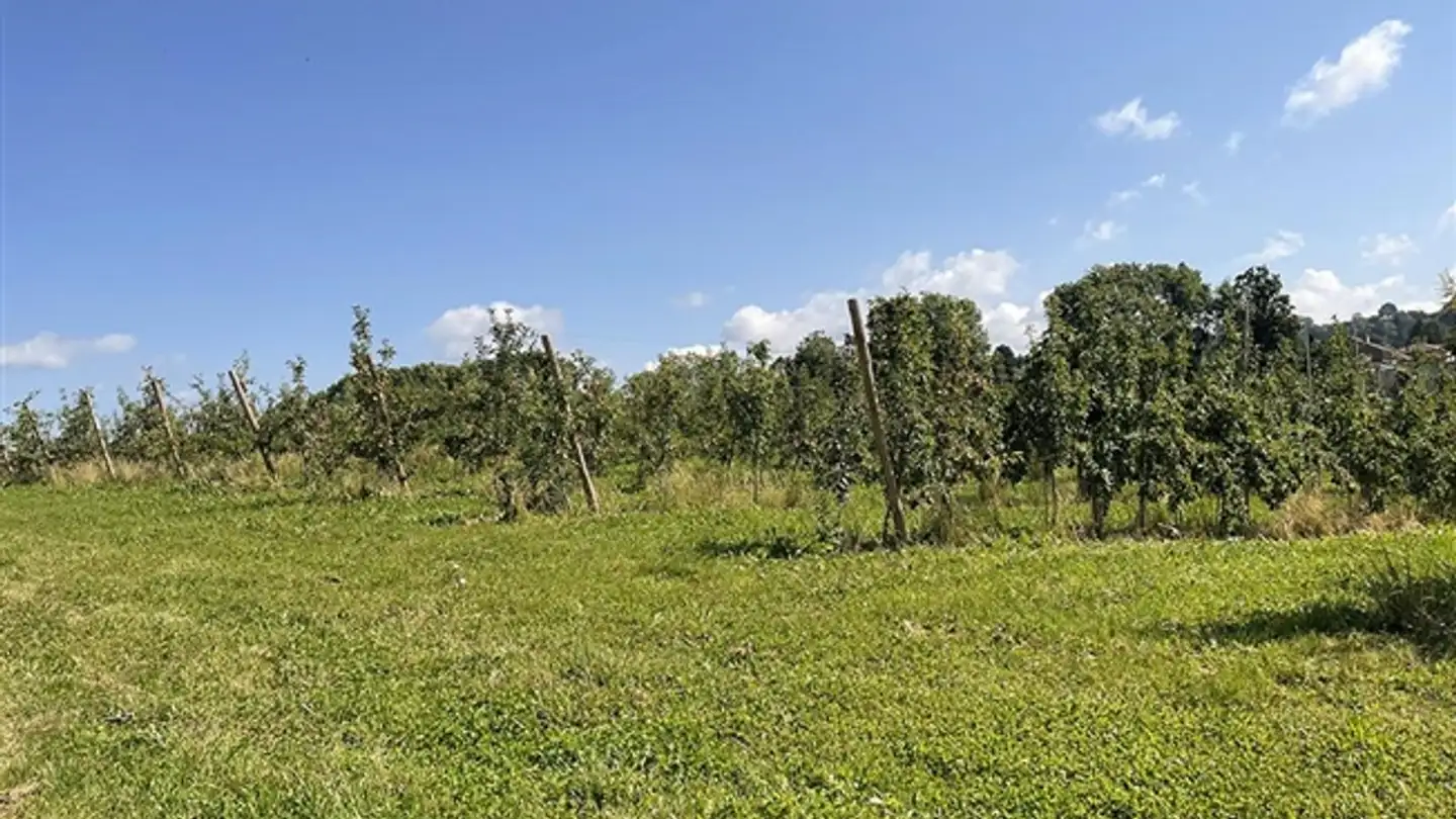 Appartamento in vendita - 1052 Le Mont-sur-Lausanne - Photo 2