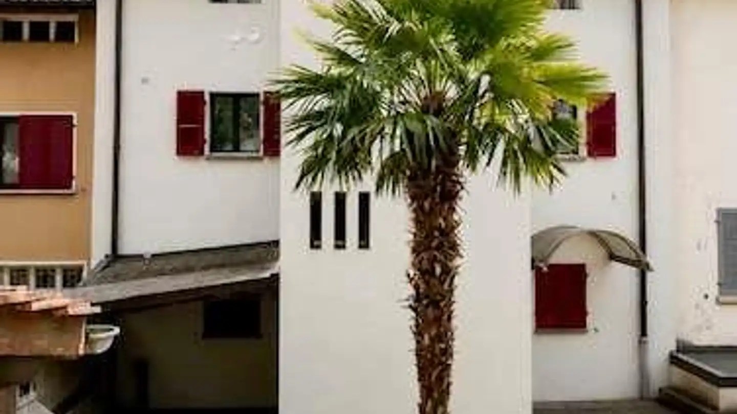 Mehrfamilienhaus kaufen - 6500 Bellinzona