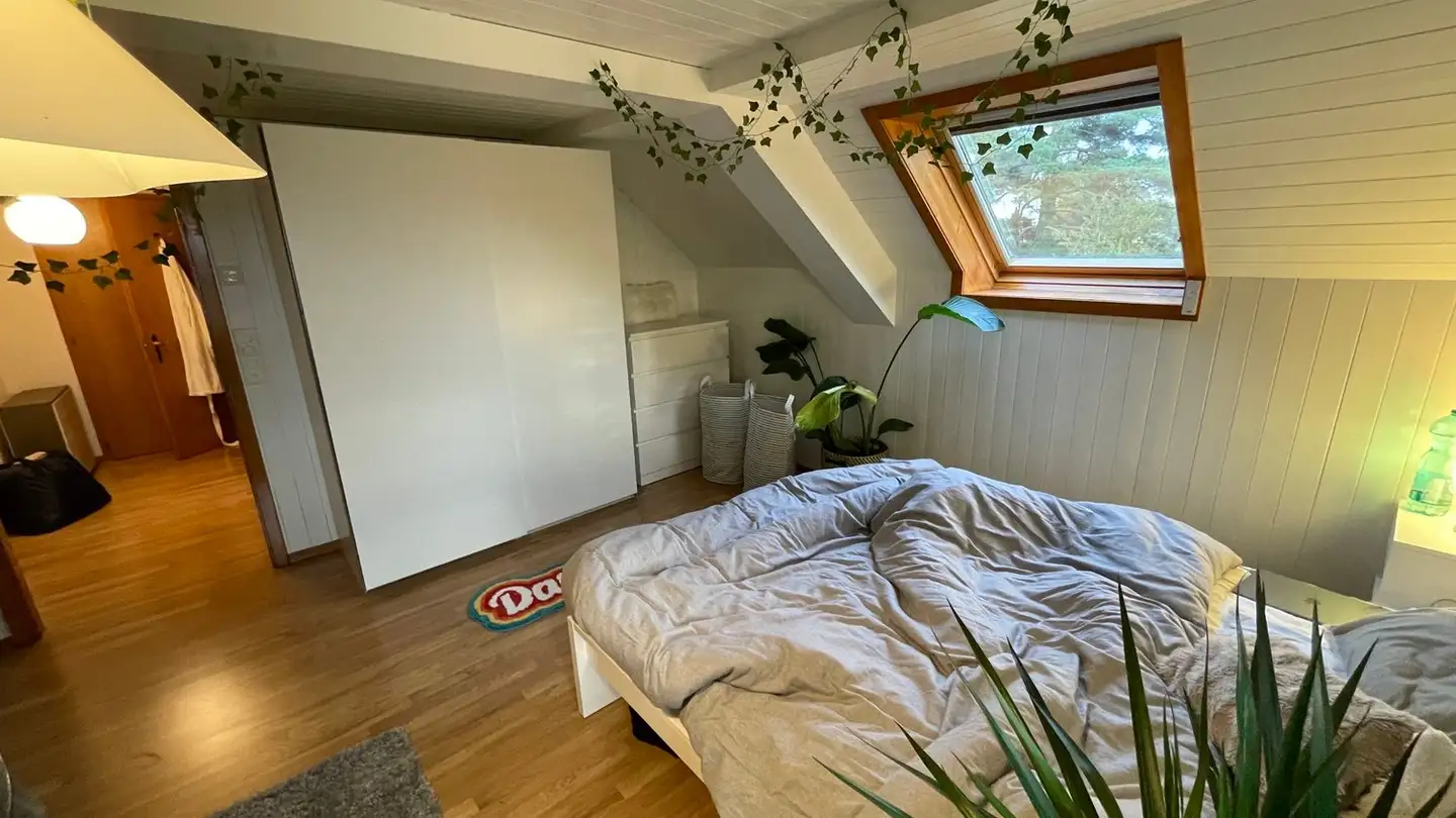 Appartamento in affitto - Kleindorfstrasse 54, 8707 Uetikon am See - Photo 2