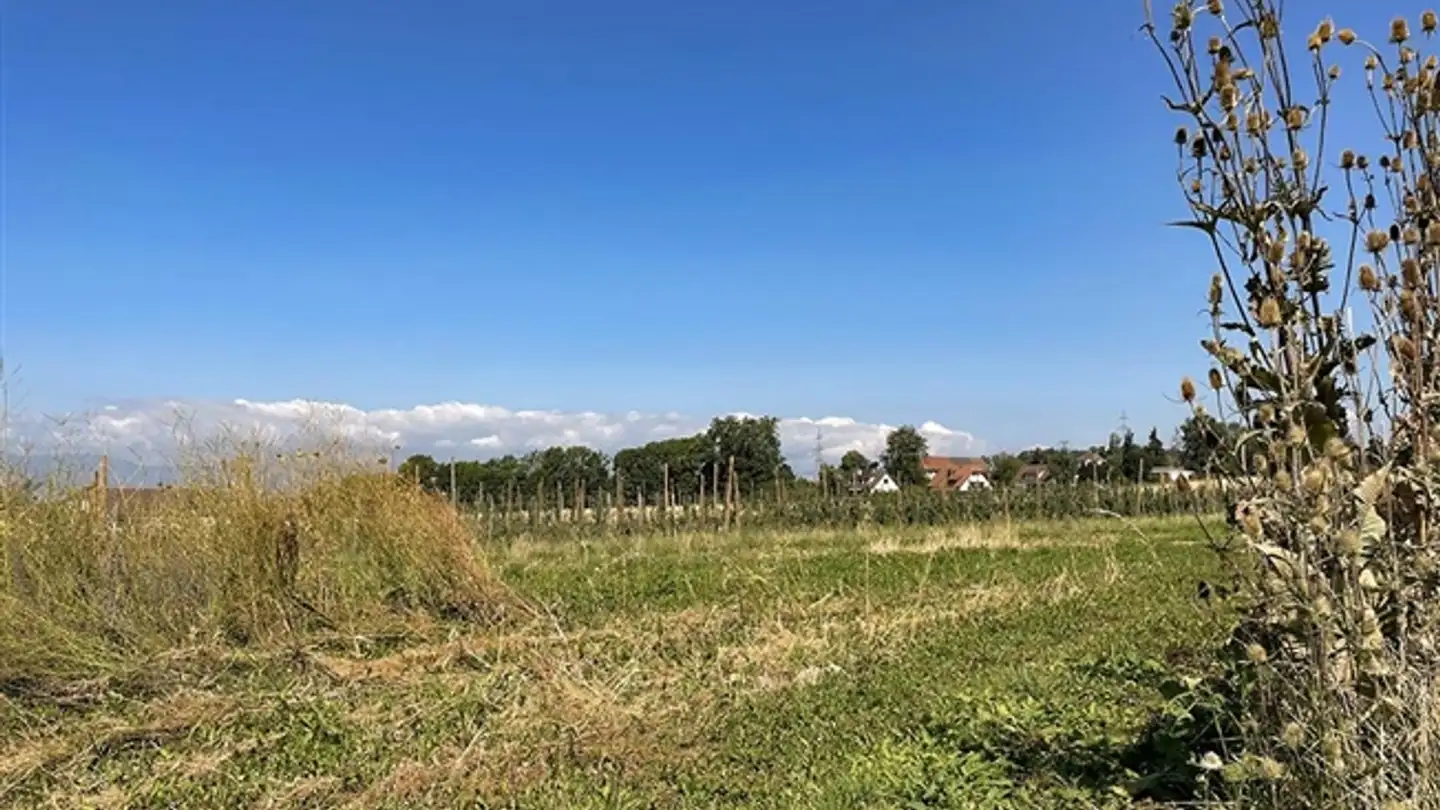 Appartamento in vendita - 1052 Le Mont-sur-Lausanne - Photo 3