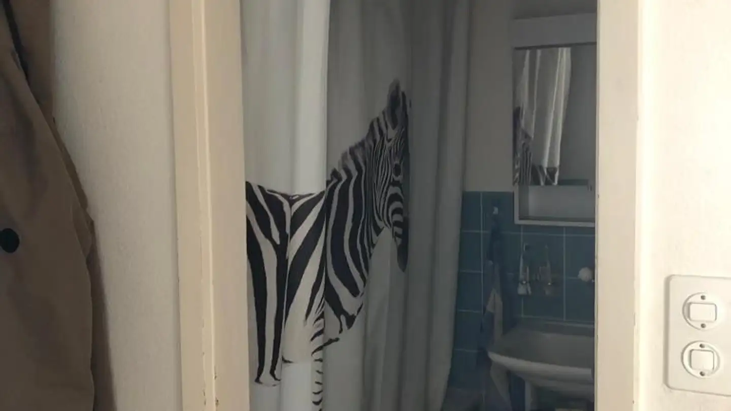 Stanza singola in affitto - Greithstrasse 31, 8640 Rapperswil SG - Photo 3