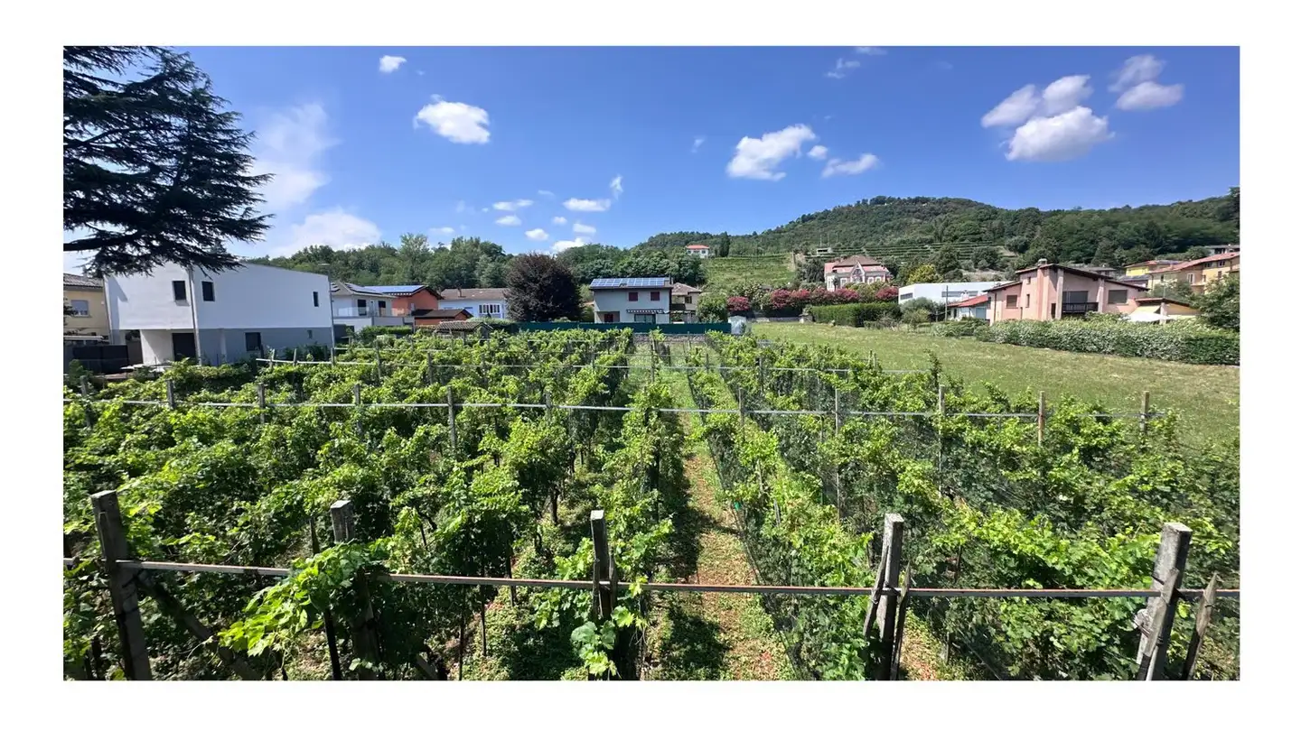 Immeuble résidentiel à vendre - Via Pizzuolo 6, 6862 Rancate - Photo 2