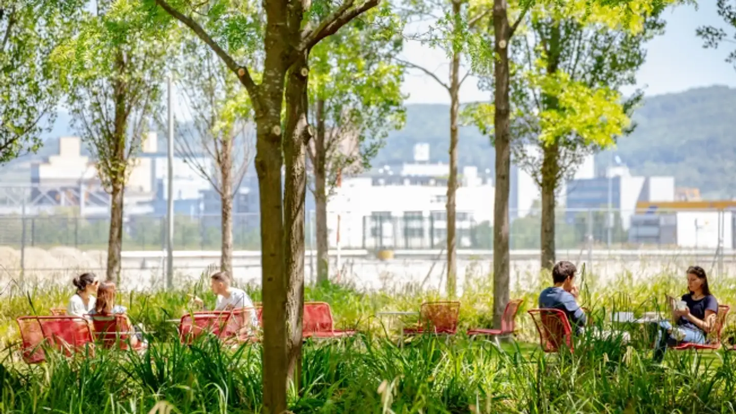 Bureau à louer - Lichtstrasse 35, 4056 Basel - Photo 4