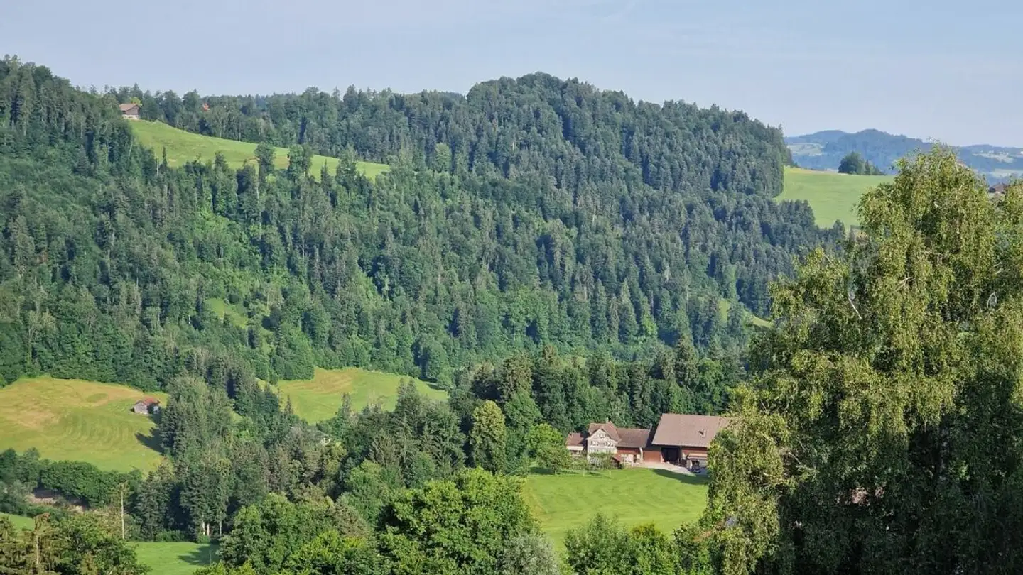 Appartamento in vendita - Ochsenweg, 9122 Mogelsberg - Photo 3