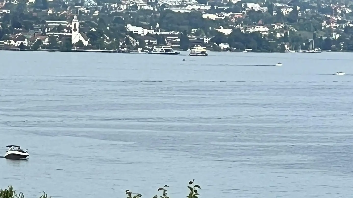 Single room for rent - 8942 Oberrieden - Photo 3