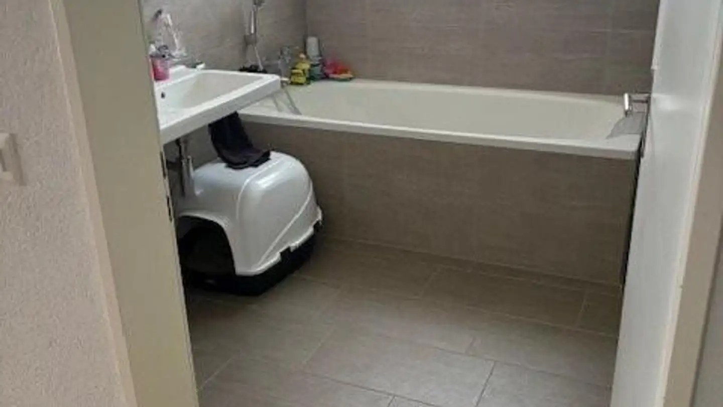 Appartement à louer - Seerenstrasse 13, 8187 Weiach - Photo 4