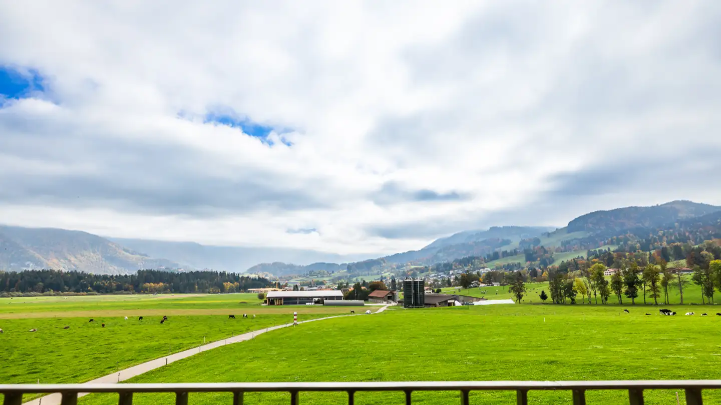 Attico in vendita - Route De La Gîte 30, 1635 La Tour-de-Trême - Foto 4
