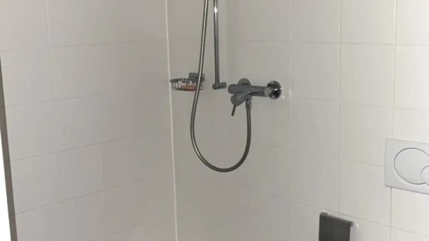 Appartement à louer - Rue Du Grand-Pré 70c, 1202 Genève - Photo 4