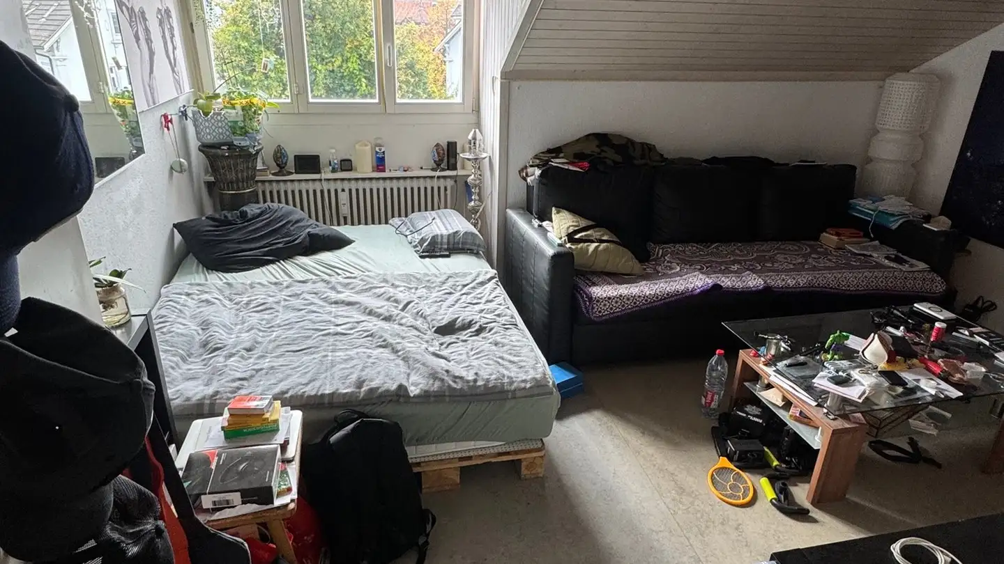 Appartamento in affitto - Badenerstrasse, 5200 Brugg AG