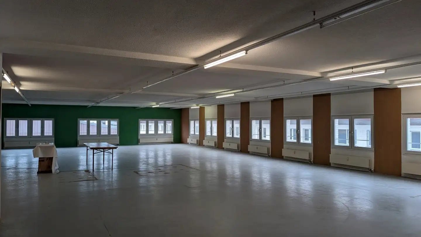 Industrieimmobilie mieten - Hauptstrasse 29, 4938 Rohrbach - Foto 4