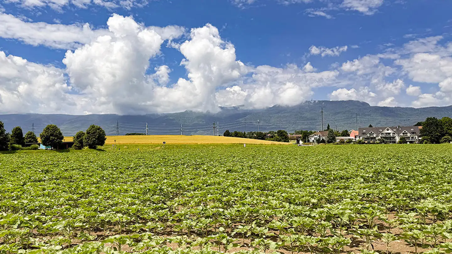 Villa à vendre - 1262 Eysins