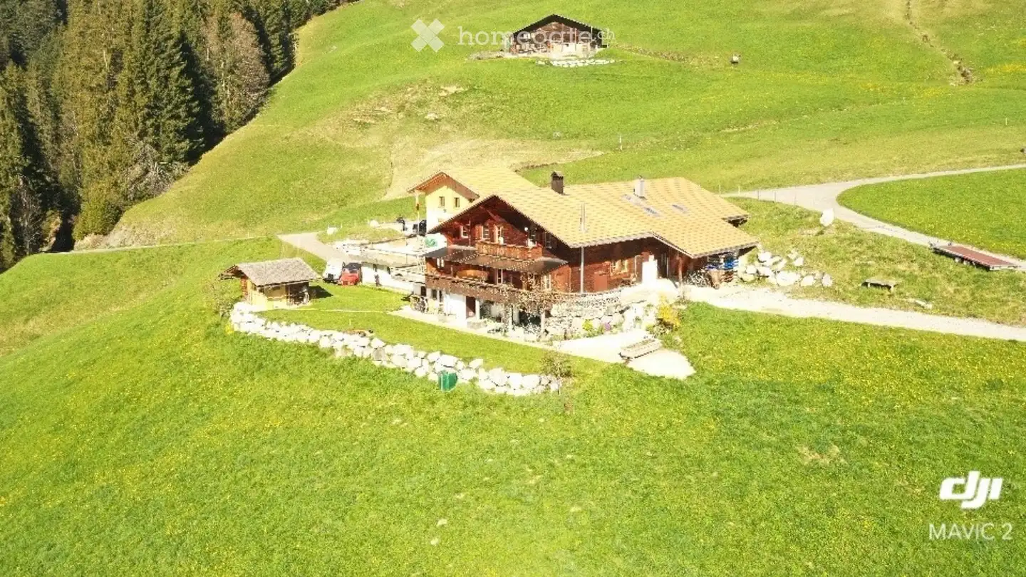 Maison individuelle à vendre - Schwarzelenfang 694, 3766 Boltigen