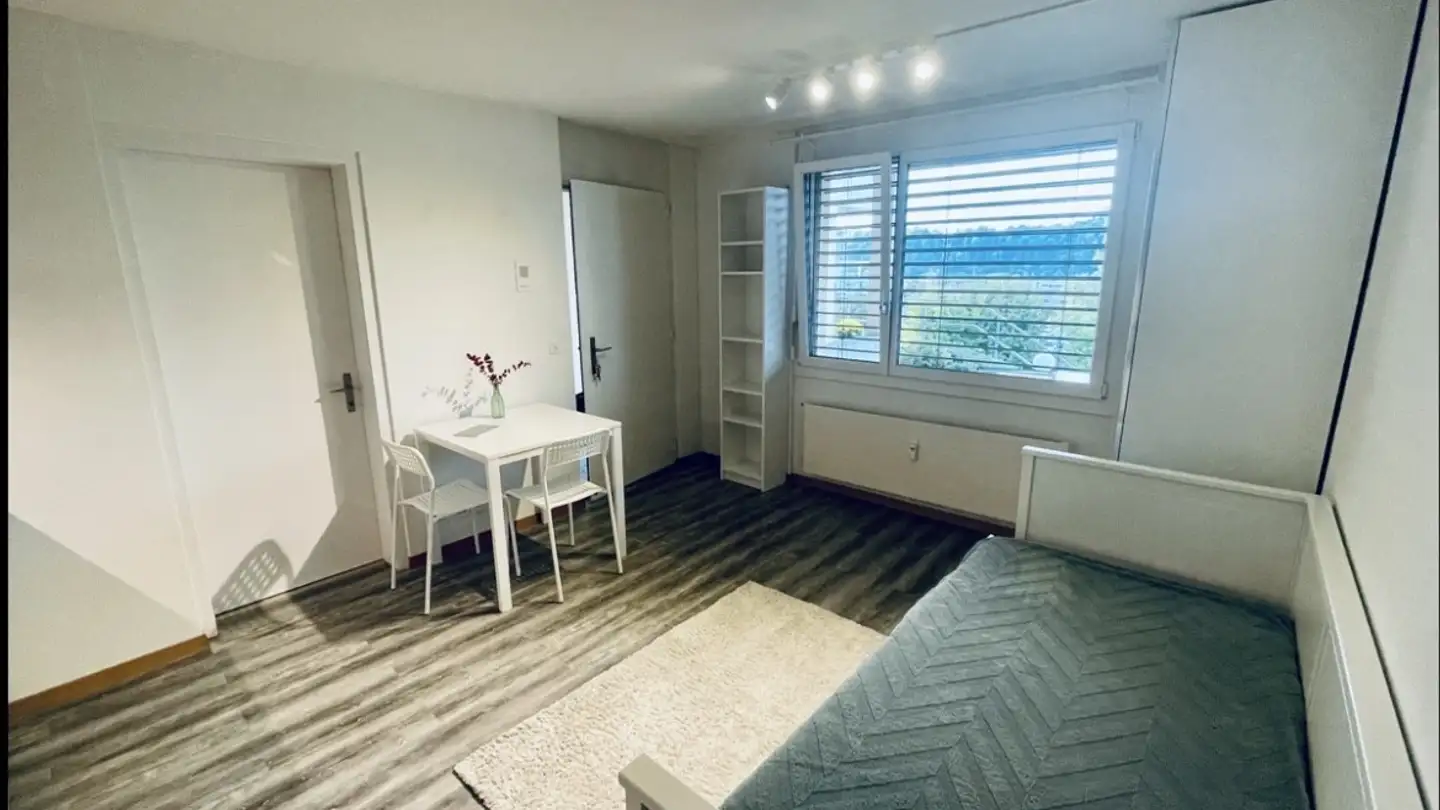 Appartement à louer - Höflirain 29a, 6030 Ebikon