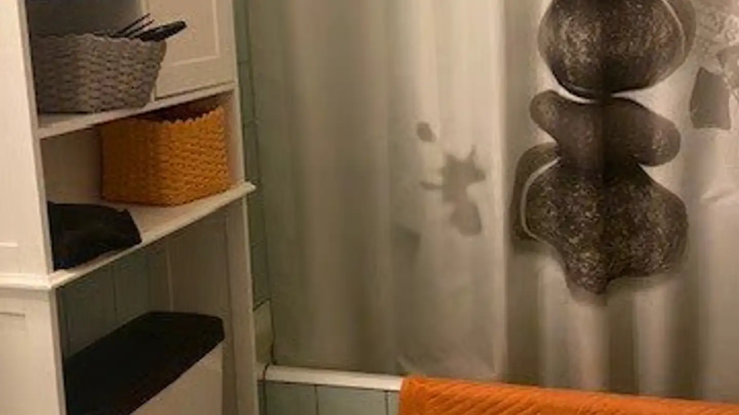 Appartement à louer - Chemin des Planches 23, 2016 Cortaillod - Photo 4