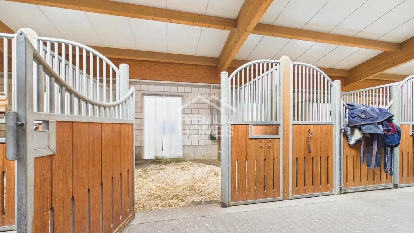 Immeuble mixte à vendre - 3800 Interlaken - Photo 3