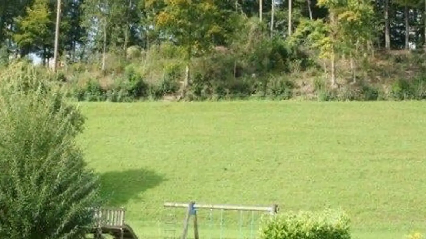 Terrassenwohnung mieten - Honeggrainstrasse 11, 8630 Rüti ZH - Foto 4