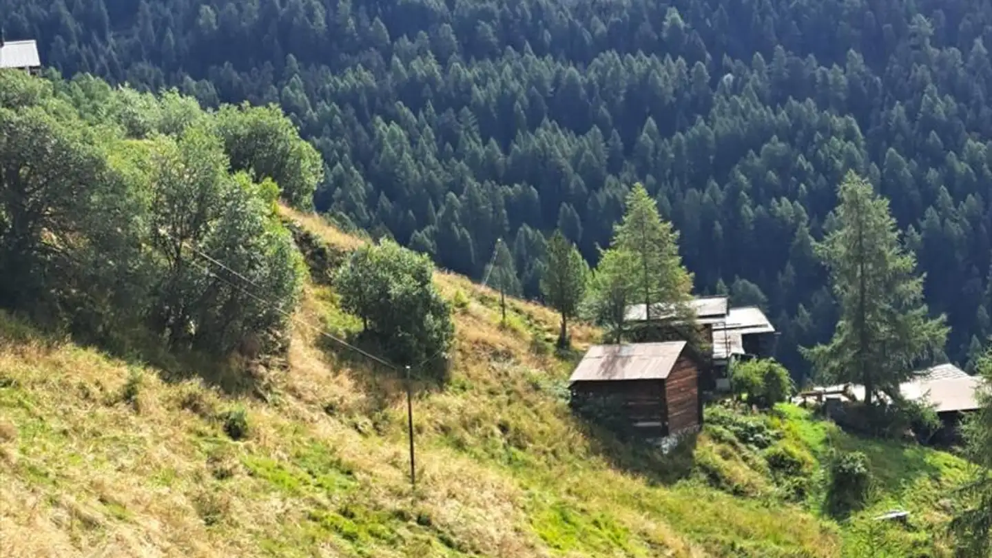 Chalet in vendita - 3961 Chandolin - Photo 3