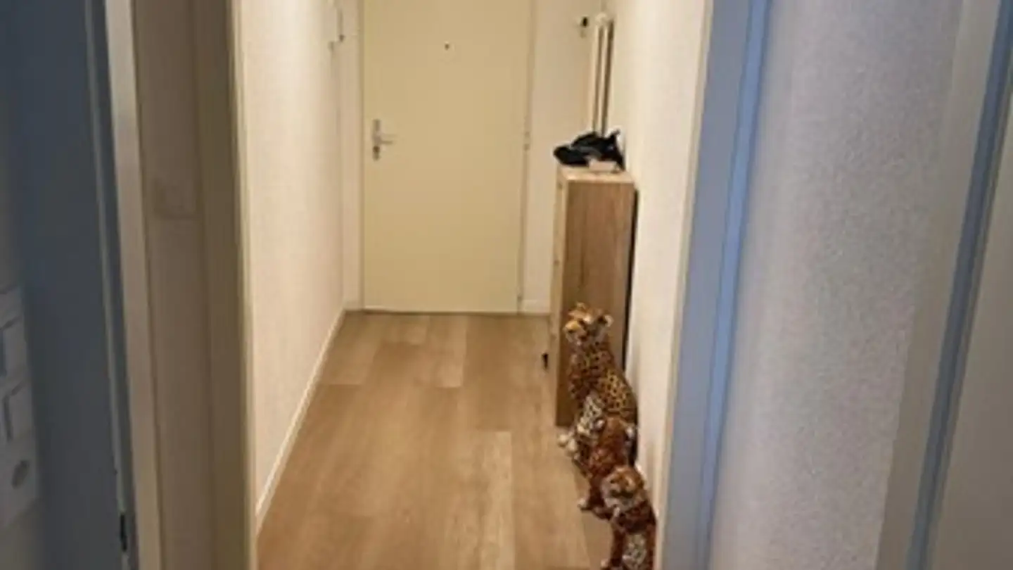 Apartment for rent - Rue Montpellier 1, 1530 Payerne - Photo 3