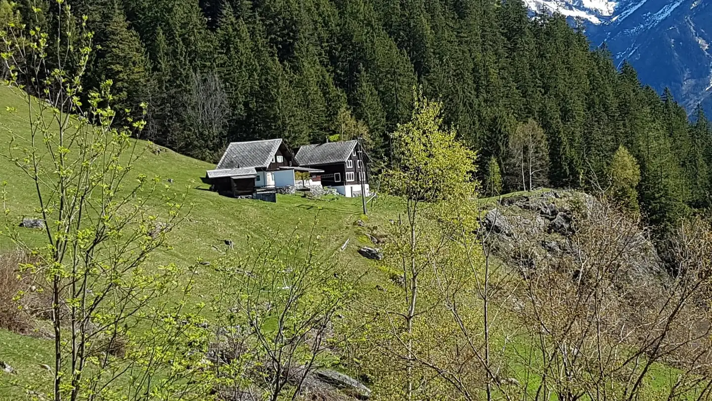 Maison individuelle à vendre - Oberberg 2, 6476 Intschi