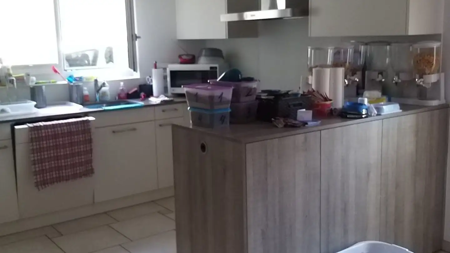 Single house for rent - Sandackerweg 8, 5616 Meisterschwanden - Photo 4