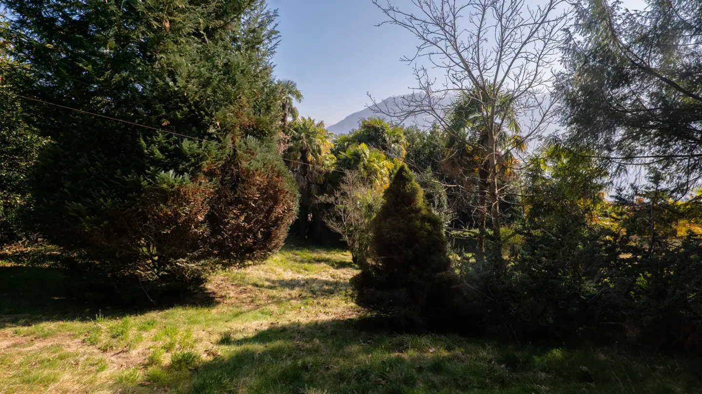 Constructible plot for sale - 6648 Minusio - Photo 4