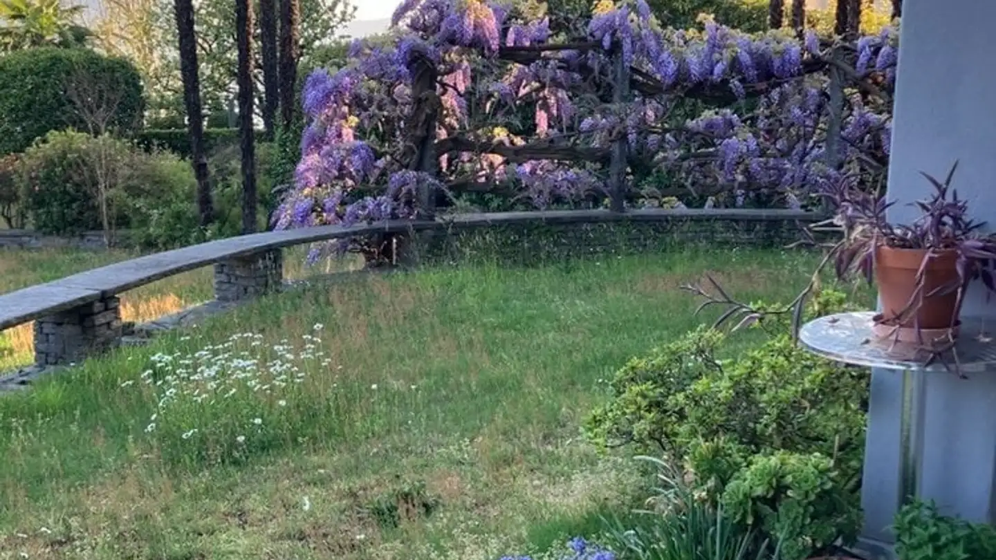 Wohnung mieten - Via Degli Olmi 4, 6648 Minusio