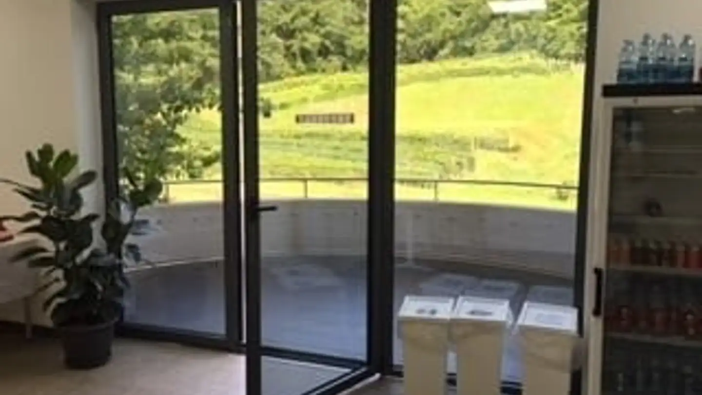 Office space for rent - 6850 Mendrisio - Photo 2