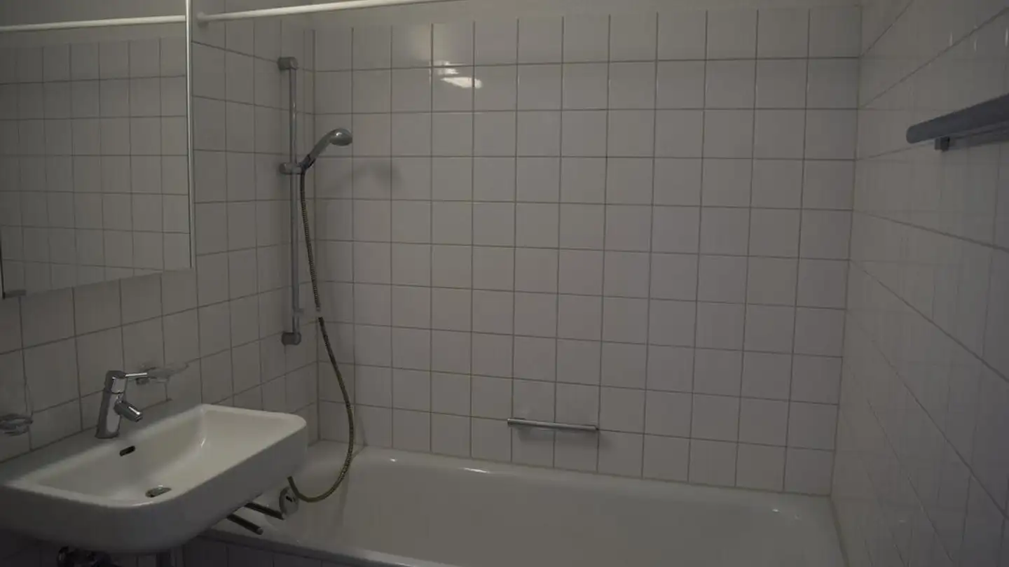 Apartment for rent - Hagenholzstrasse, 8050 Zürich - Photo 3