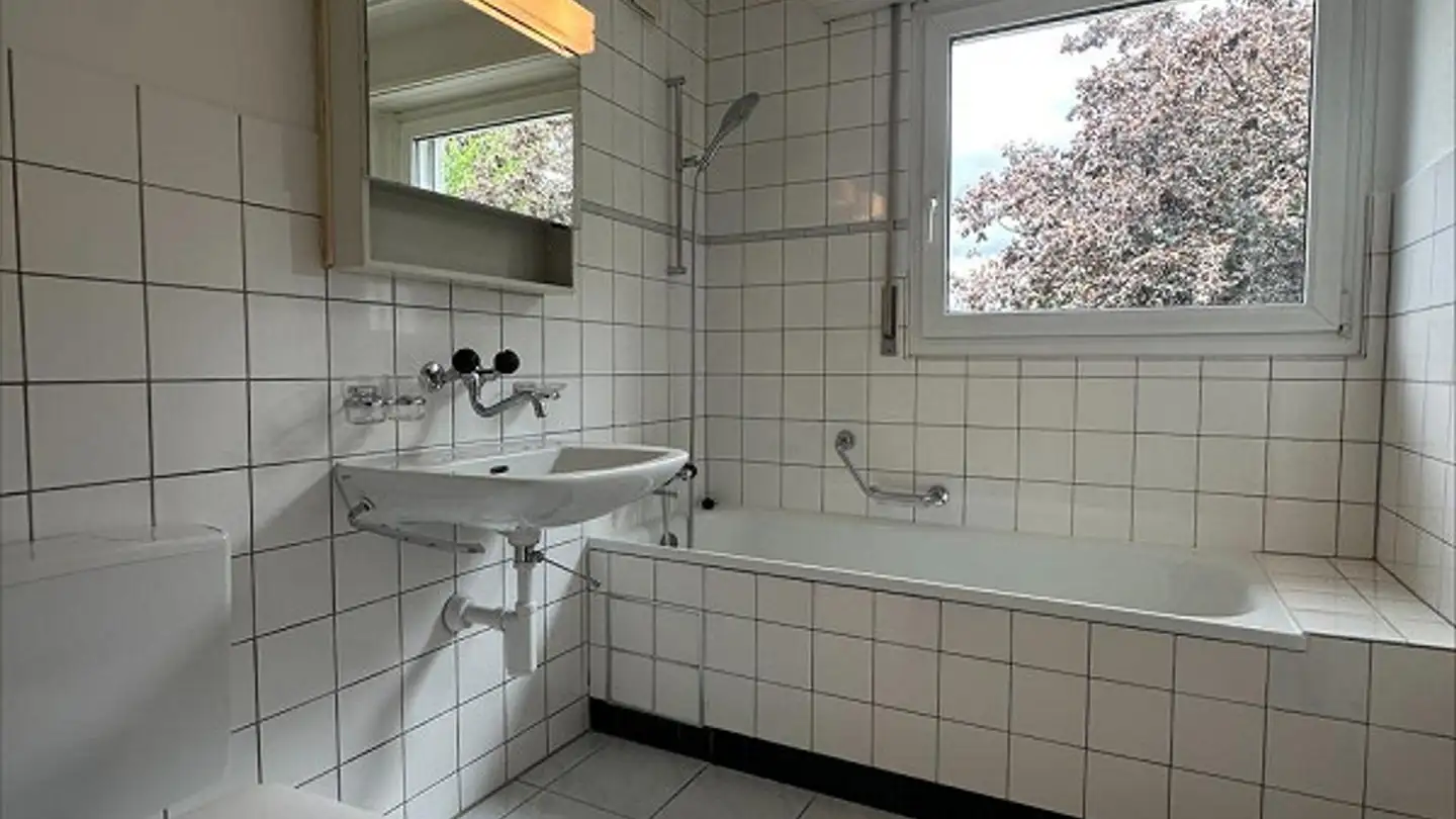 Apartment for rent - Am Zunftackerrain 30, 4133 Pratteln - Photo 3