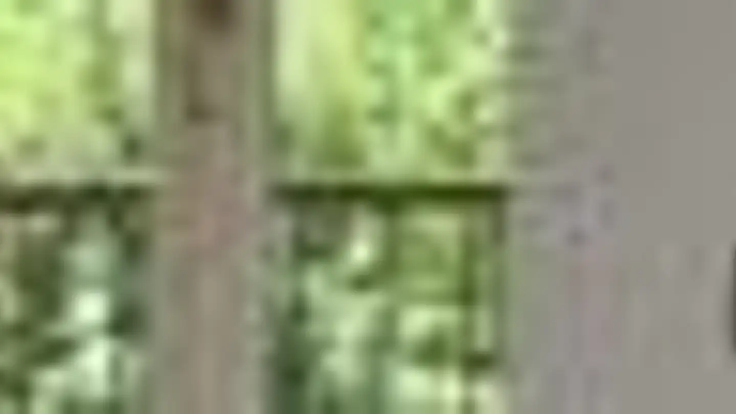 Appartamento in affitto - Vorstettlistrasse 2, 4524 Günsberg - Photo 4