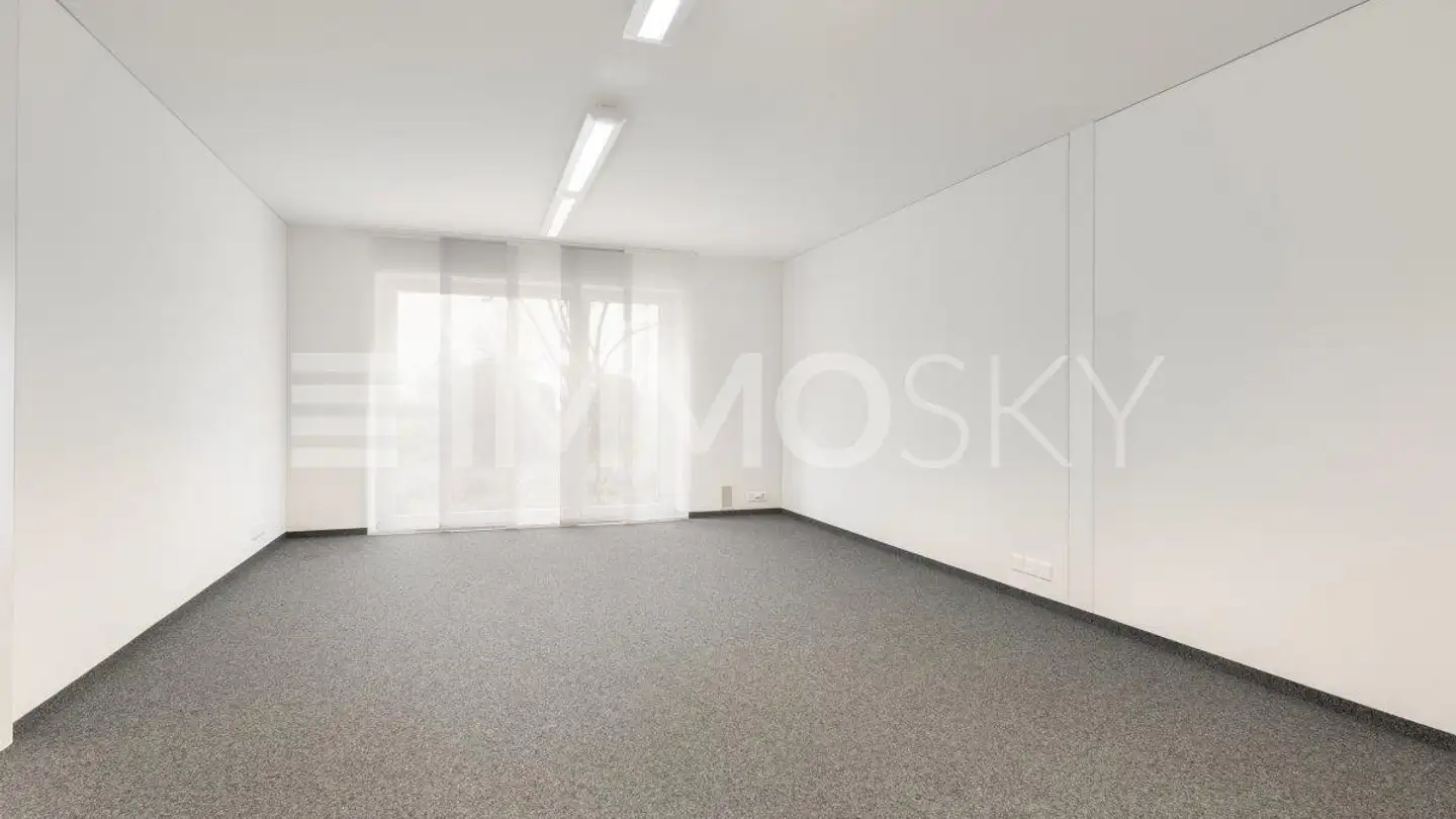 Commercial for sale - 9422 Staad SG - Photo 3