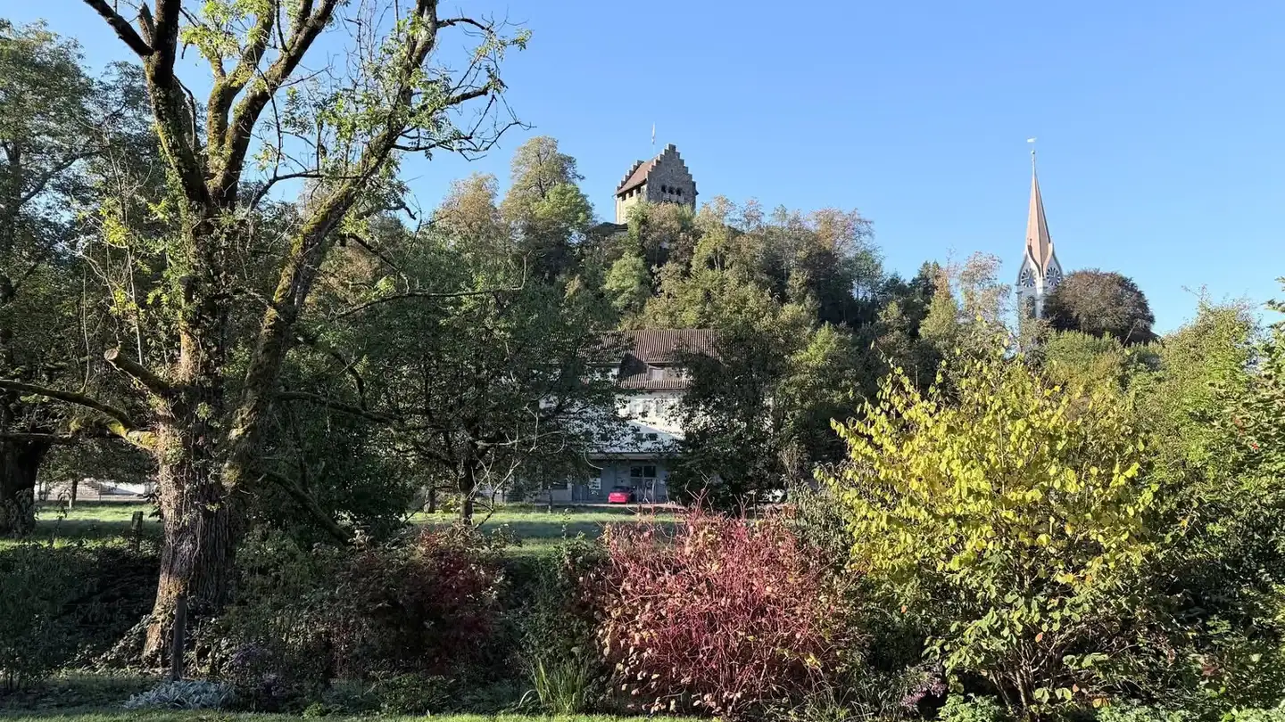 Appartement à louer - Reibestrasse, 8610 Uster - Photo 3