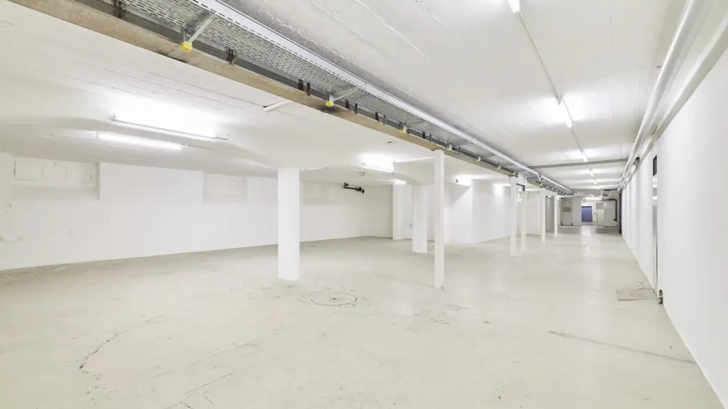 Commerciale in affitto - Farbhofstrasse 21, 8048 Zürich - Foto 4