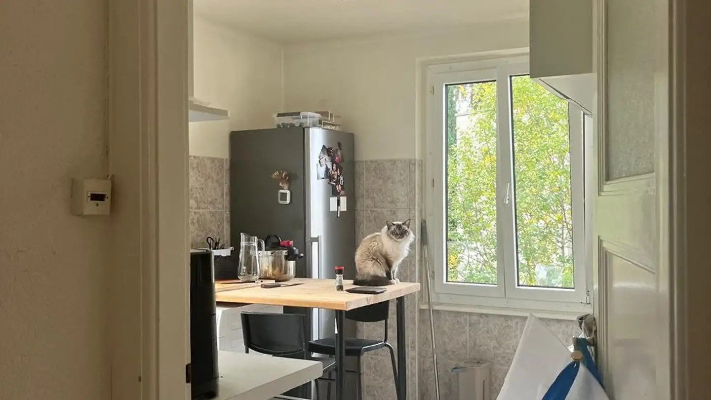 Appartamento in affitto - Route Aloys-Fauquez 32, 1018 Lausanne - Foto 3