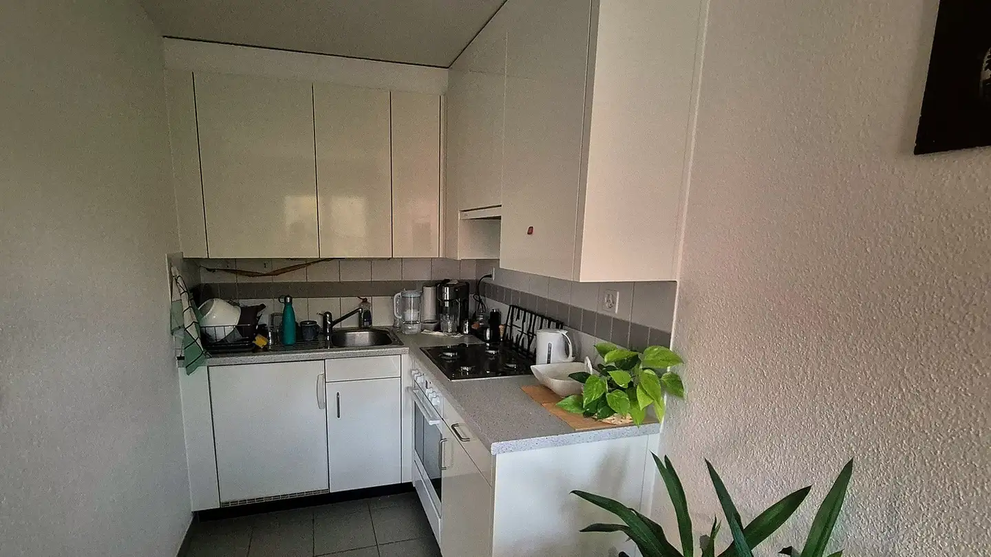 Appartement à louer - Stöcklerstrasse, 8610 Uster - Photo 3