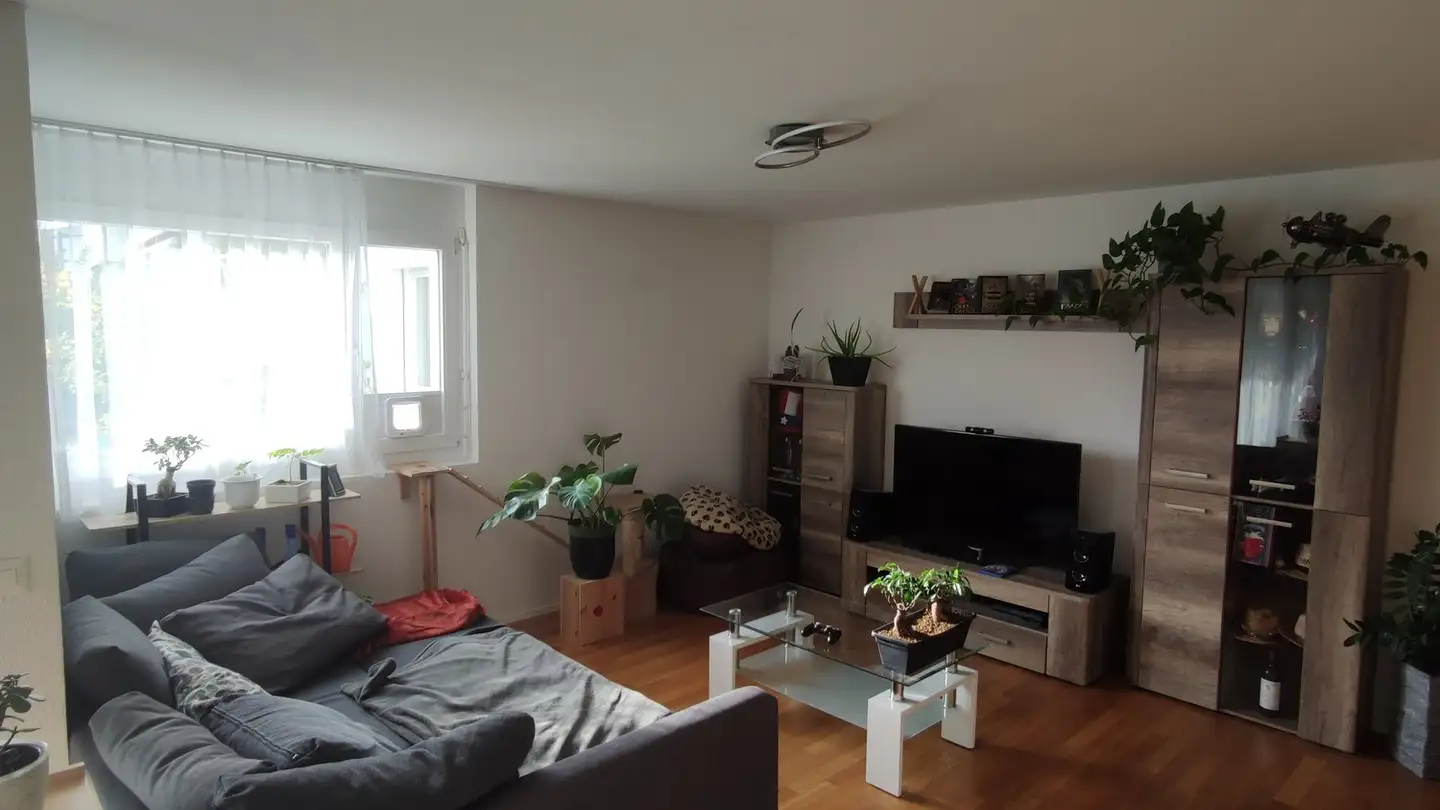 Appartamento in affitto - Hintergasse 2a, 9532 Rickenbach b. Wil - Foto 3