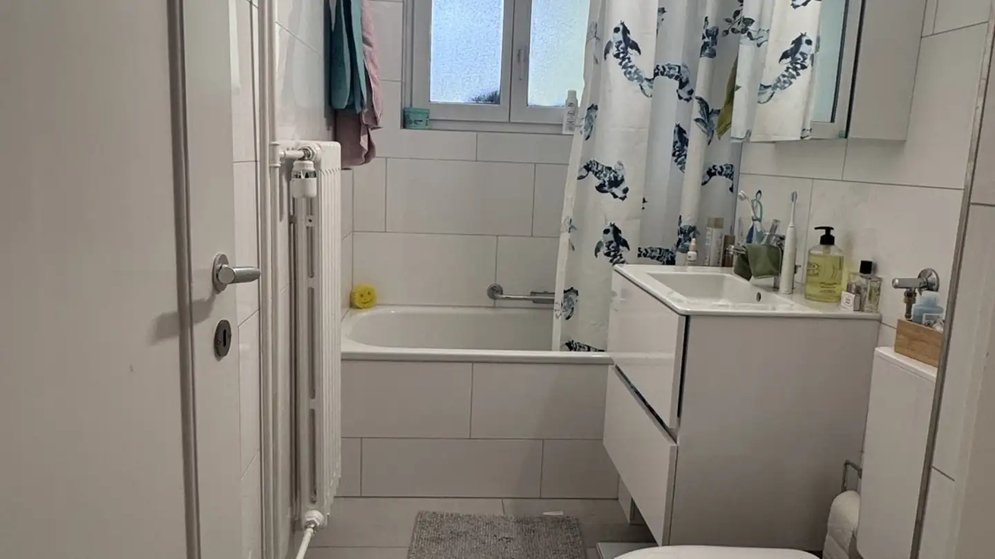 Appartamento in affitto - Schwalmenackerstrasse 19, 8400 Winterthur - Photo 4