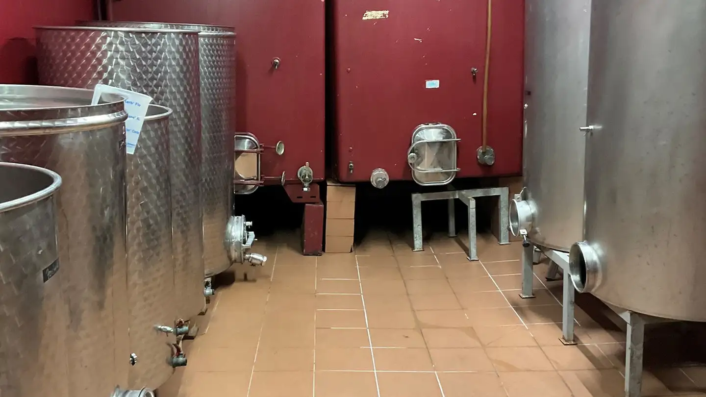 Proprietà industriale in affitto - 1912 Leytron - Photo 3