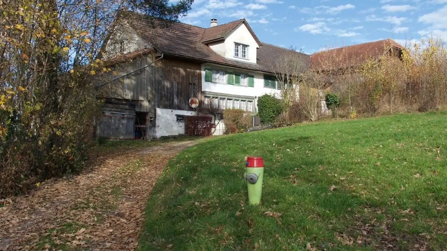 Farm for sale - Drittenbergstrasse, 8133 Esslingen