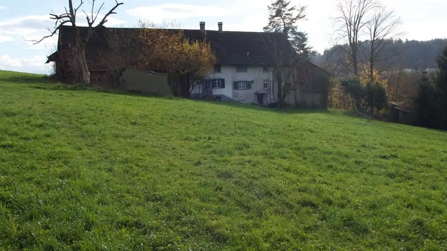Farm for sale - Drittenbergstrasse, 8133 Esslingen - Photo 3