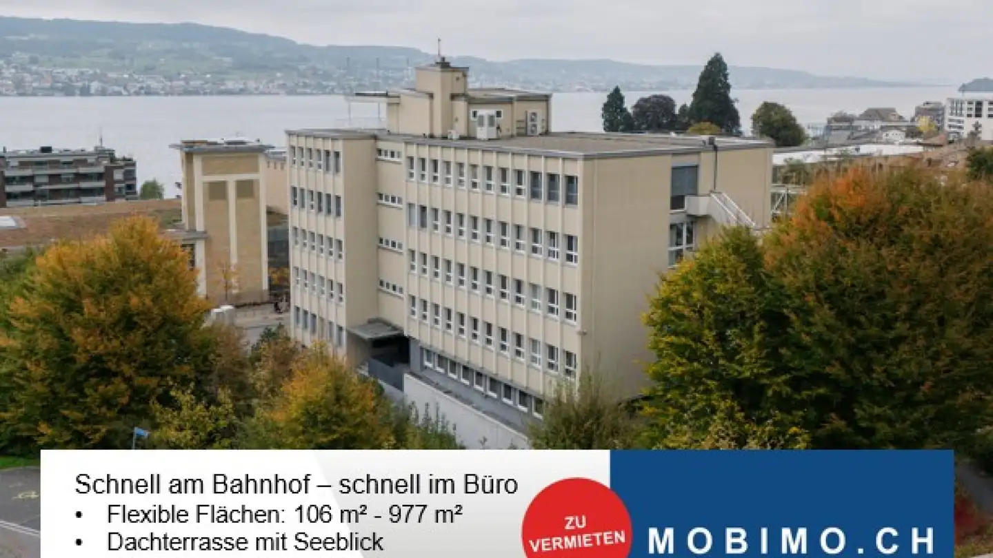 Office space for rent - Seestrasse 80, 8810 Horgen
