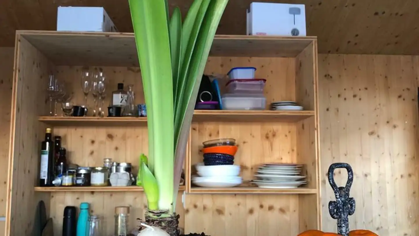 Spazio ufficio in vendita - 3935 Bürchen - Photo 3