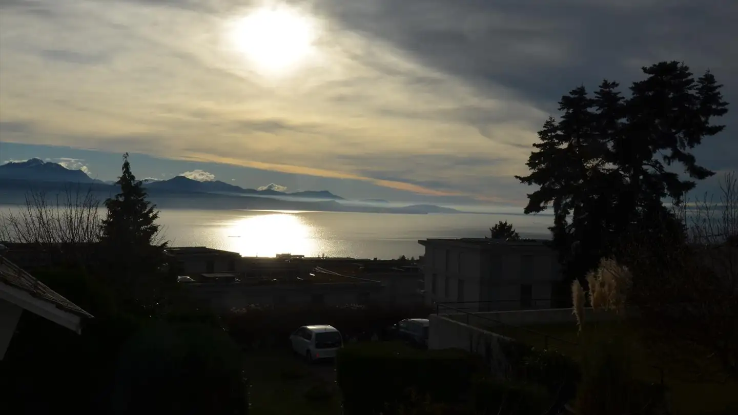 Villa kaufen - 1009 Pully