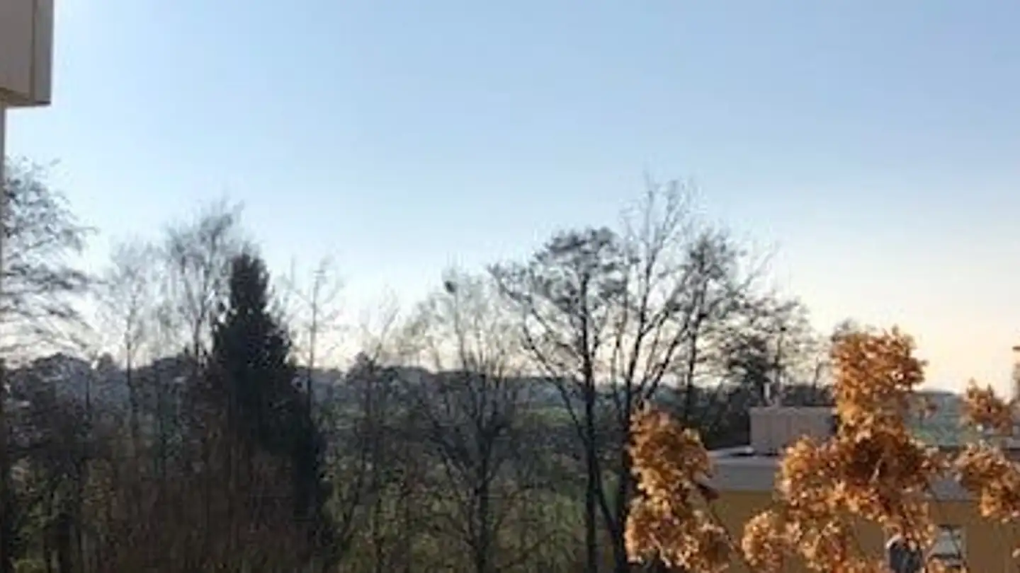 Apartment for sale - Lehnisweidstrasse 36, 8967 Widen