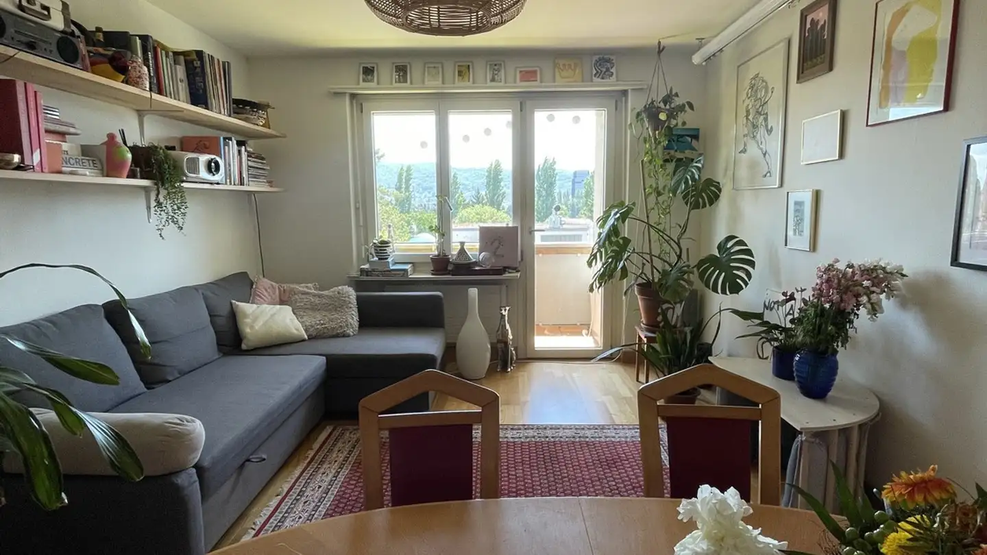 Möblierte Wohnung mieten - 8049 Zürich