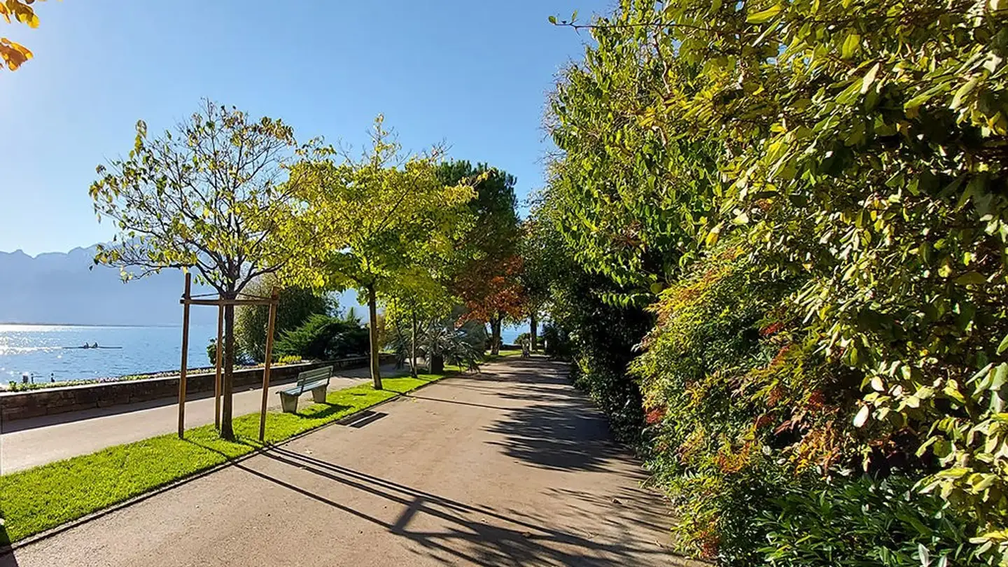 Maison individuelle à vendre - 1820 Montreux