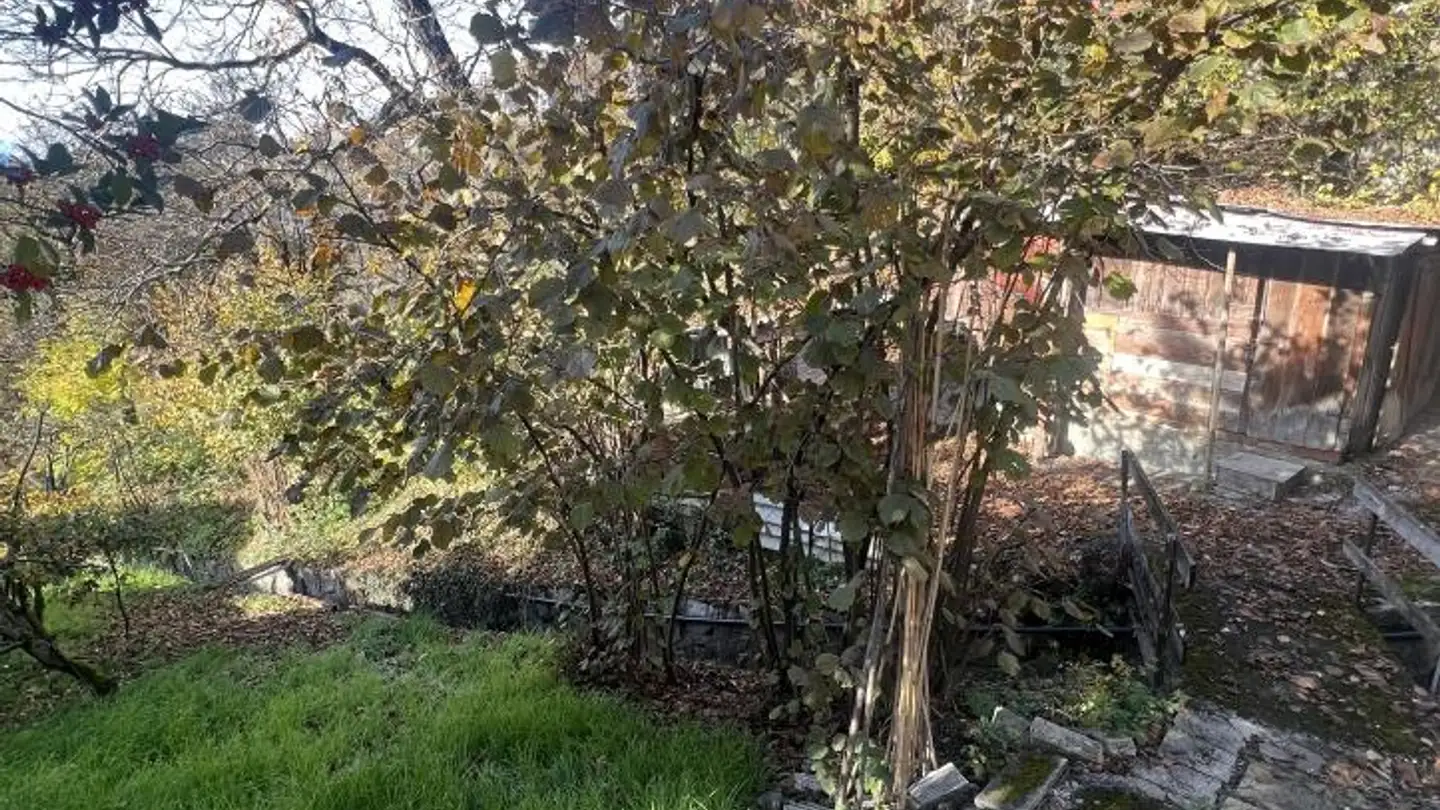 Casa singola in vendita - Rue du Pissieu, 1966 Botyre (Ayent) - Foto 4