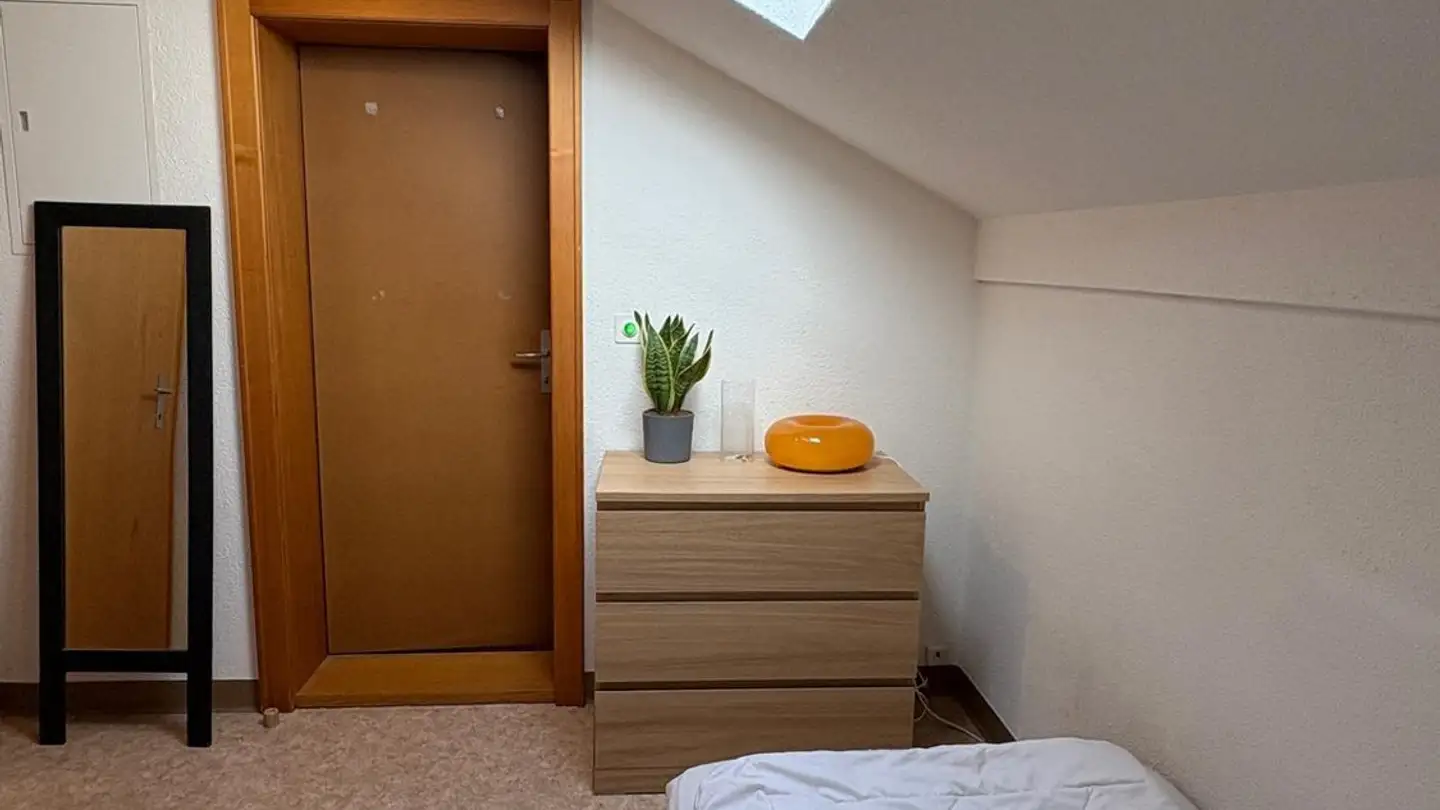 Chambre à louer - Tösstalstrasse 227, 8405 Winterthur - Photo 4