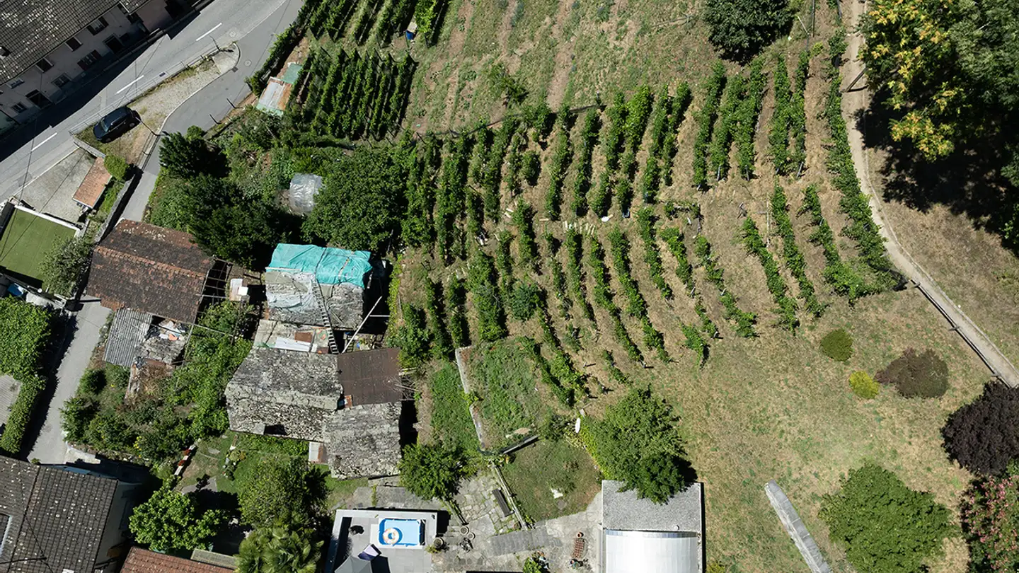 Constructible plot for sale - Via Burio, 6596 Gordola