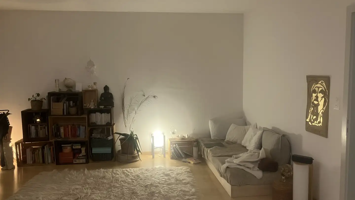 Appartamento in affitto - 8200 Schaffhausen - Foto 2